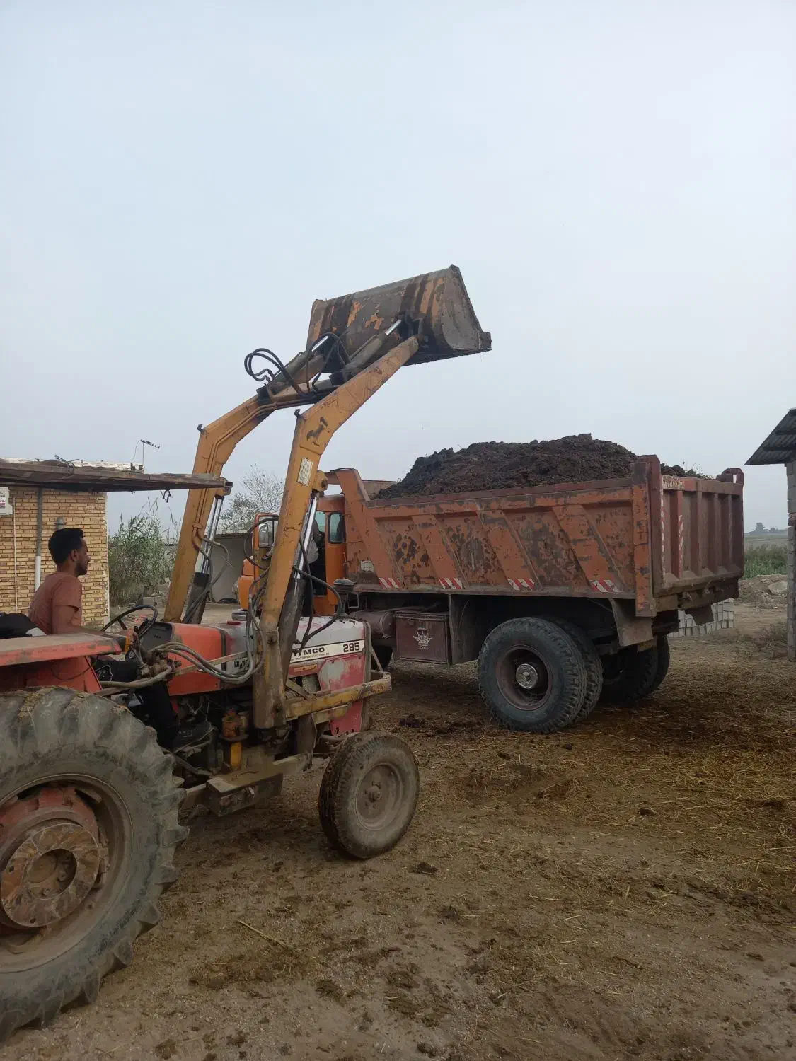 کود حیوانی گاوی و گوسفندی|خدمات باغبانی و درختکاری|گرگان, |دیوار