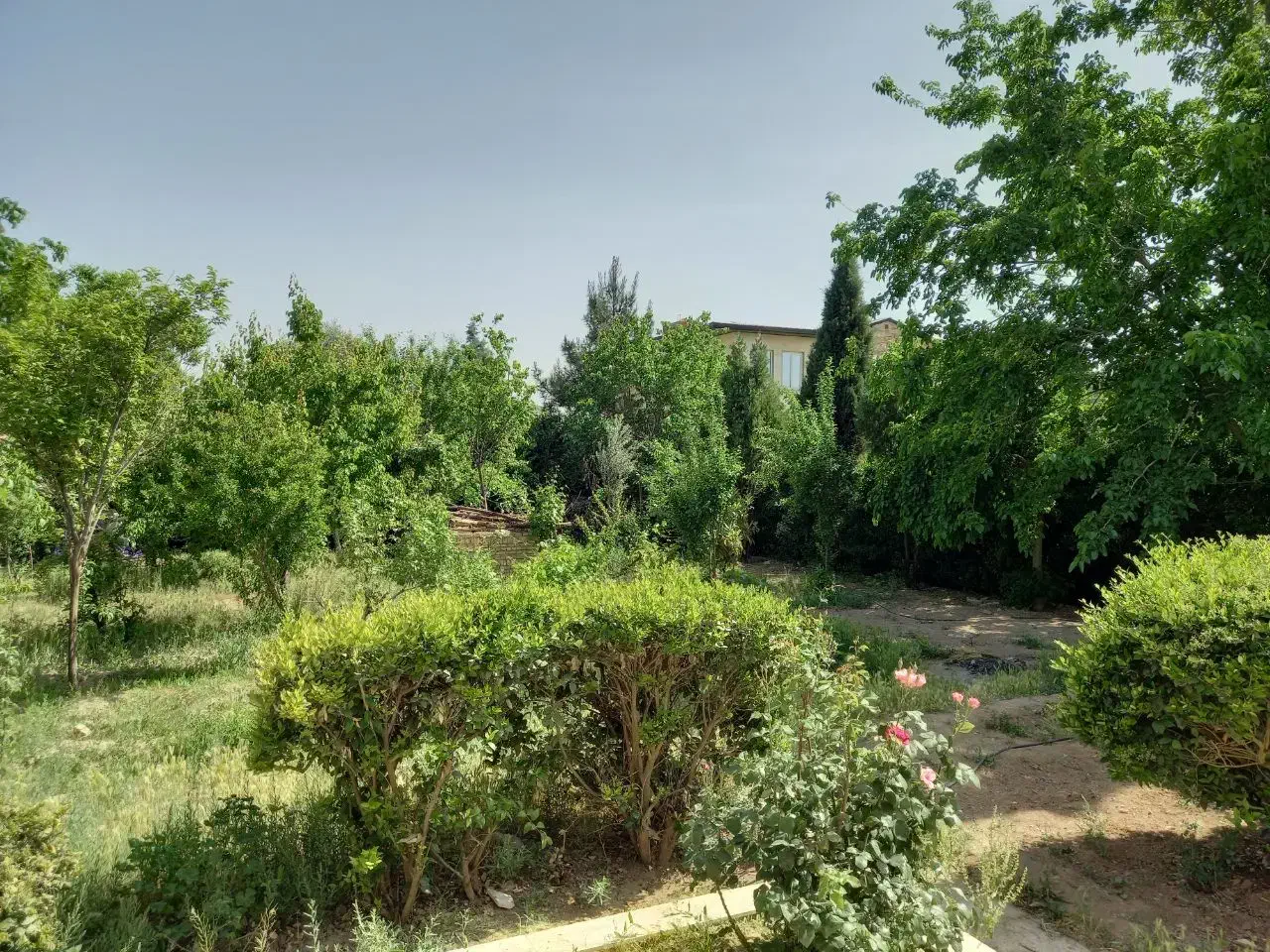 باغ ویلا ۱۲۰۰ متری سه خواب شهرک خانه تهران|فروش خانه و ویلا|رباطکریم, پرندک|دیوار