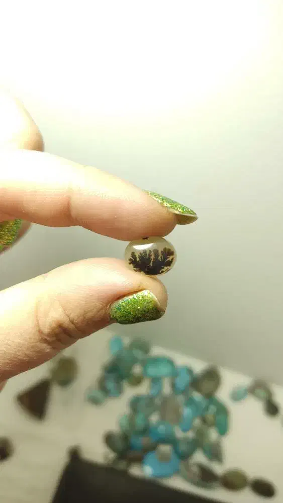 شجر قائن شجر تک درخت شجر مشکی|جواهرات|خمینیشهر, |دیوار