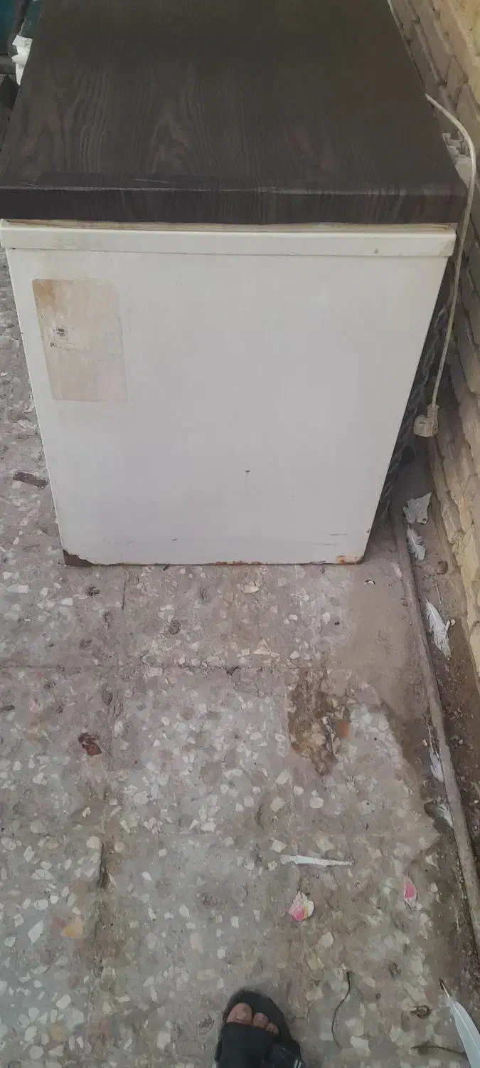 فلیزر تمیز وسالم|یخچال و فریزر|آبادان, |دیوار