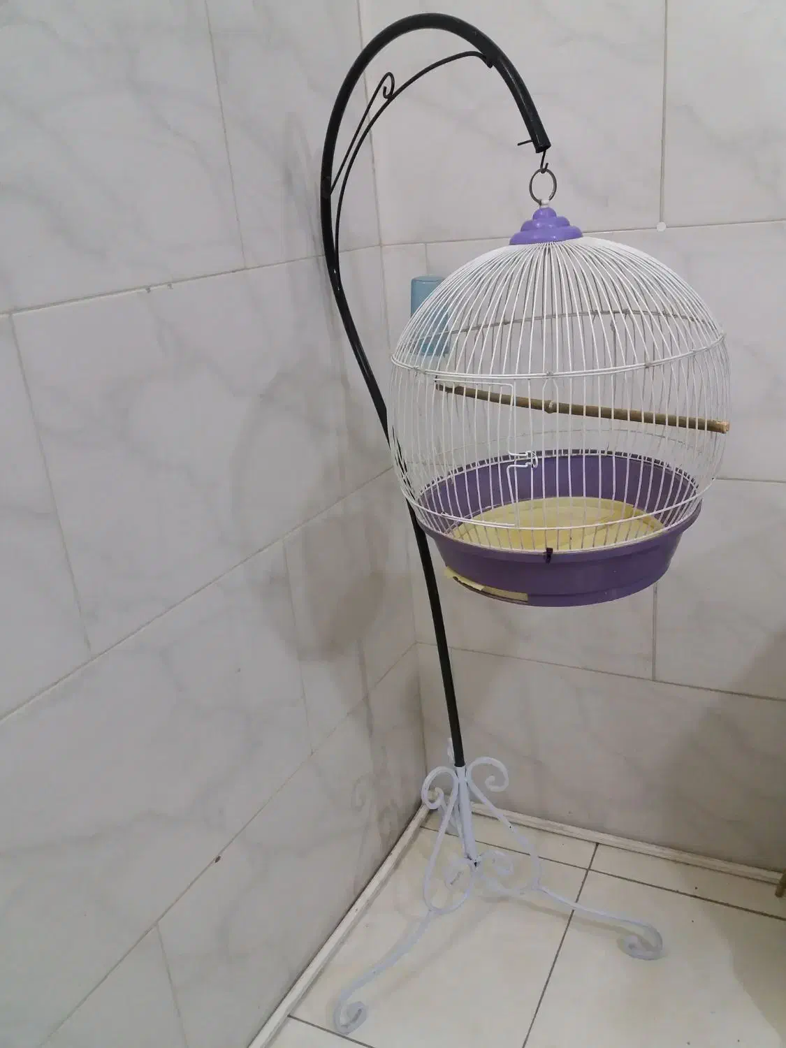 قفس|لوازم جانبی حیوانات|شهریار, شهرک بهاران (ویره)|دیوار