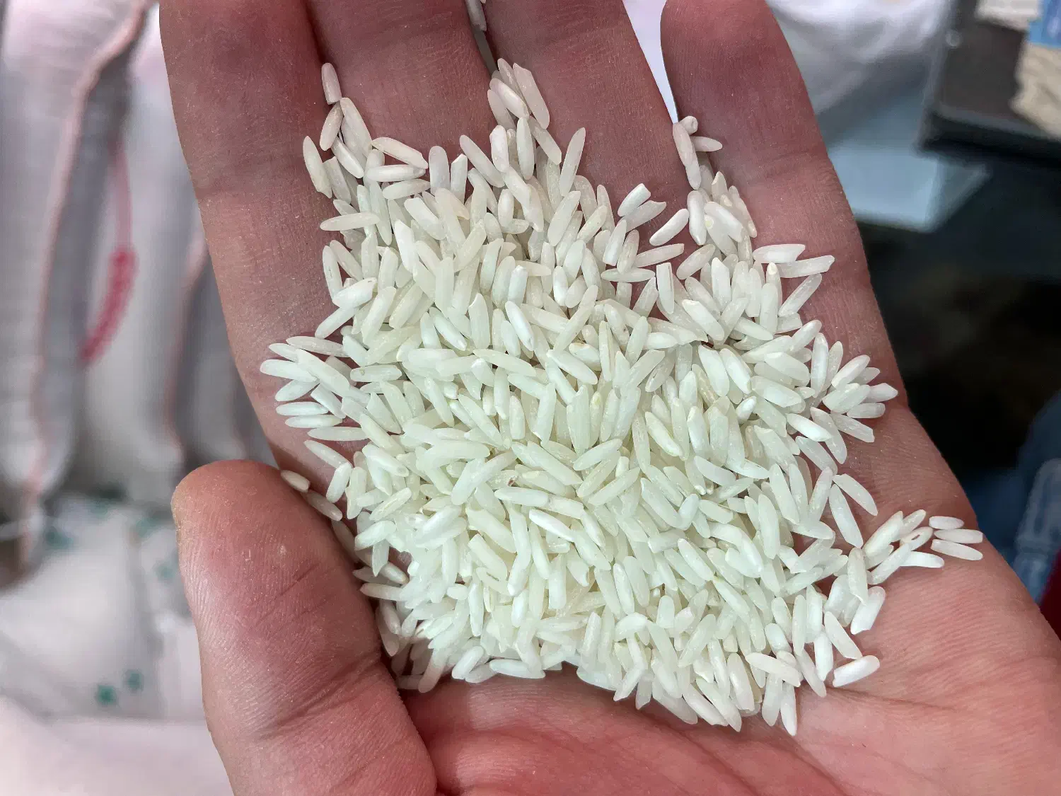 برنج شیرودی|خوردنی و آشامیدنی|تبریز, |دیوار