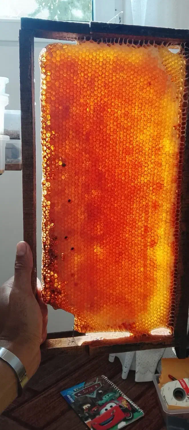 عسل کوهستان|خوردنی و آشامیدنی|کلیبر, |دیوار