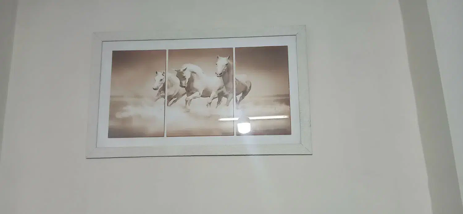 تابلو|تابلو، نقاشی، عکس|مشهد, فدک|دیوار