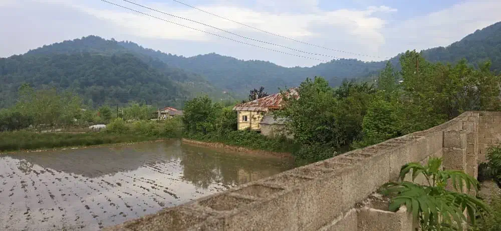 زمین با ویوی ابدی با سازه ۱۶۰ متری تا ستون طبقه۱|فروش زمین و ملک کلنگی|ماکلوان, |دیوار