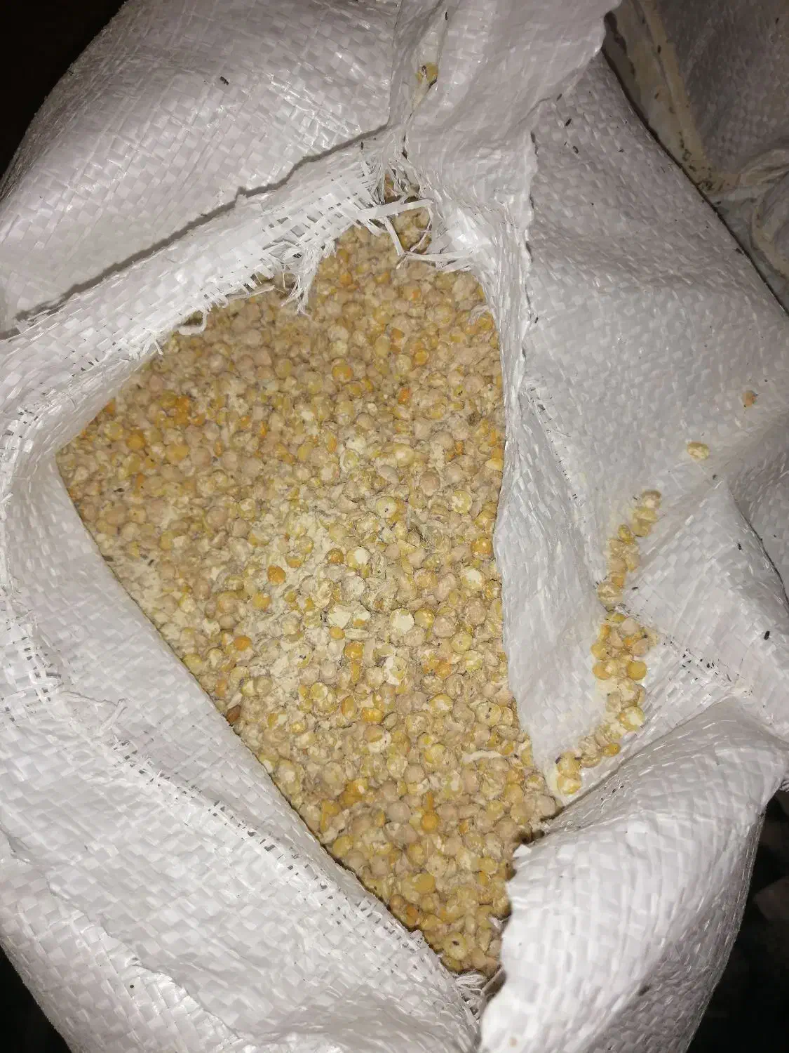 نخود شکسته|حیوانات مزرعه|بابلسر, |دیوار