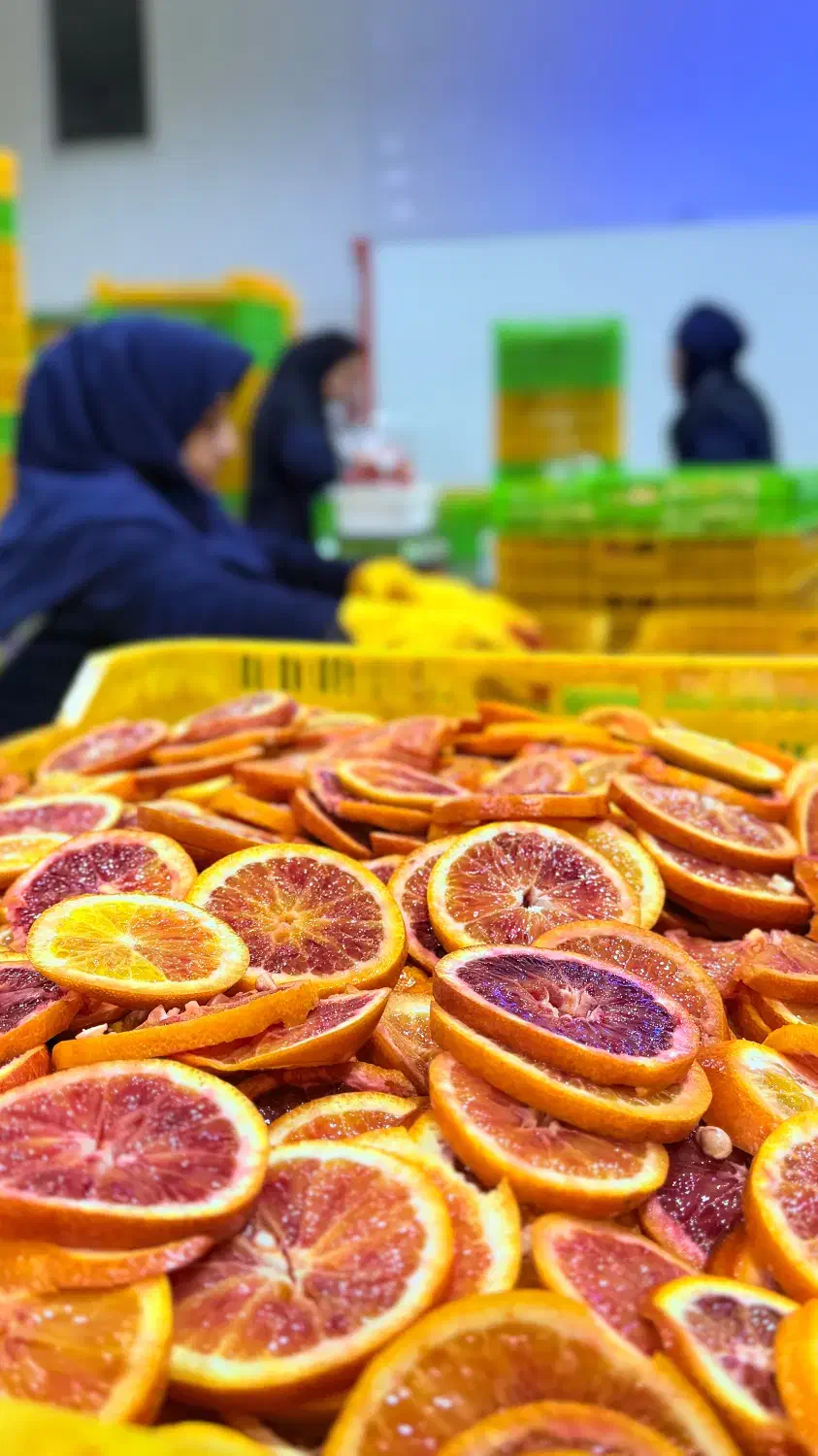 استخدامی|استخدام صنعتی، فنی، مهندسی|شاهرود, |دیوار