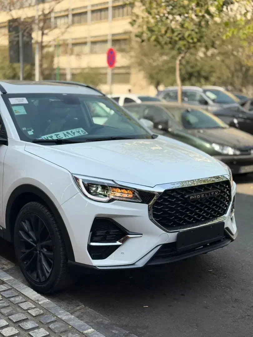 فیدلیتی الیت ۵ نفره|خودرو سواری و وانت|تهران, چهارصد دستگاه|دیوار