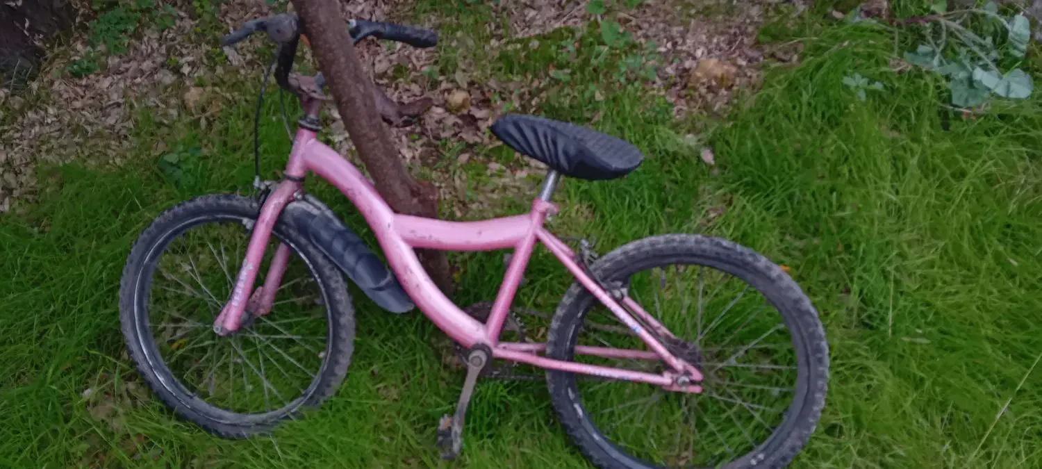 دوچرخه صورتی بچه گانه|دوچرخه، اسکیت، اسکوتر|رشت, خمیران زاهدان|دیوار