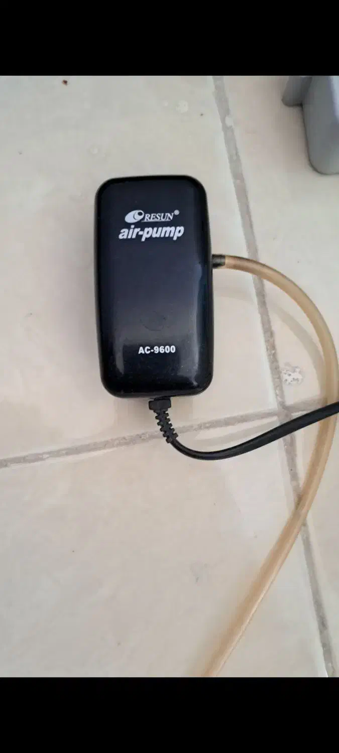 اکواریوم|ماهی|شاهینشهر, خانه کارگر|دیوار