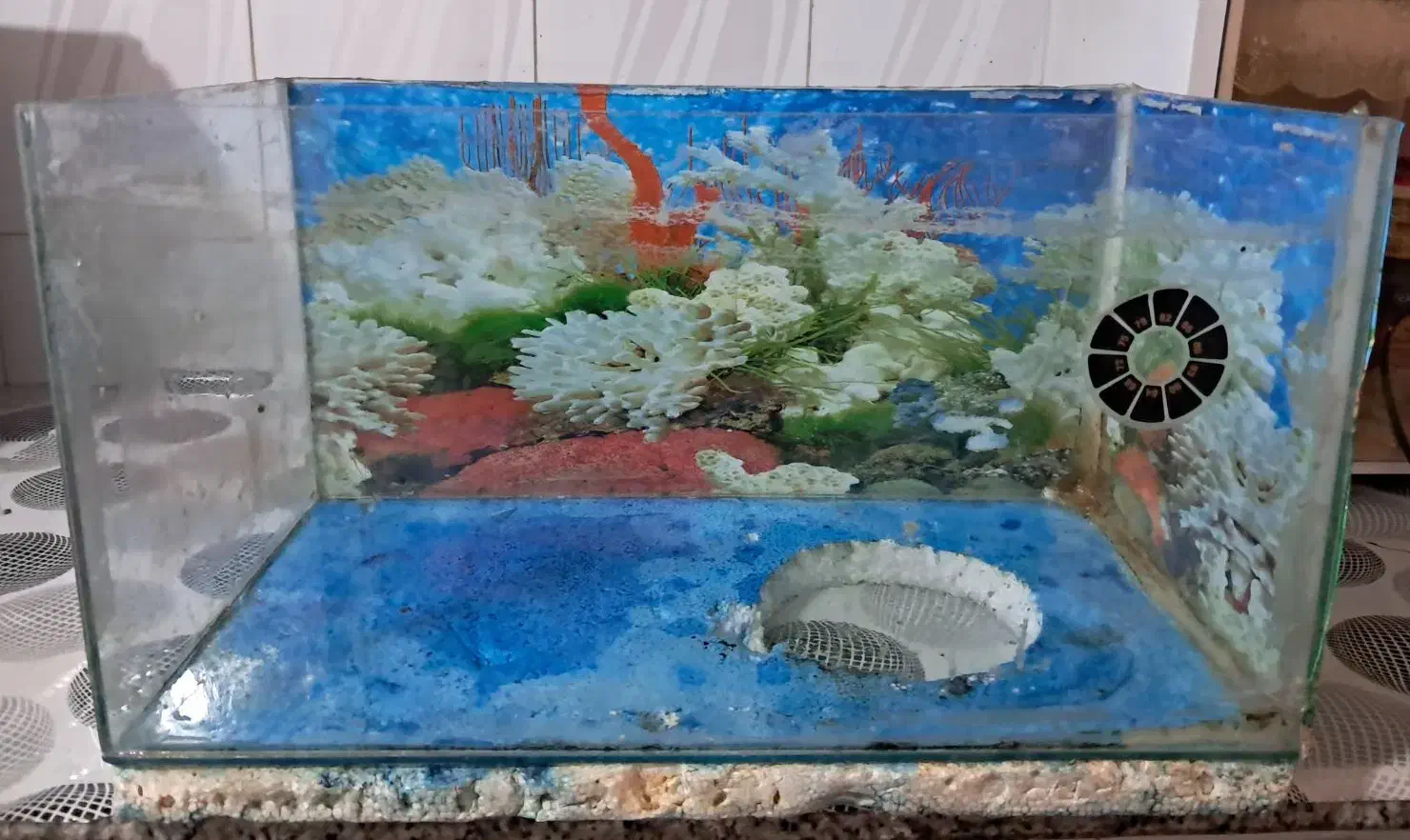 آکواریوم|ماهی|بروجن, |دیوار