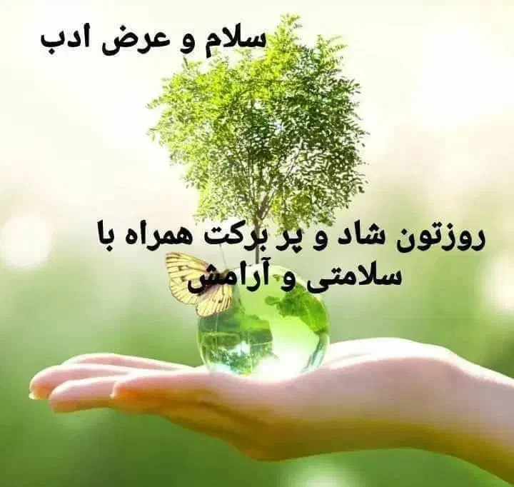 فروش زمین کشاورزی فاروق|فروش زمین و ملک کلنگی|سیدان, |دیوار