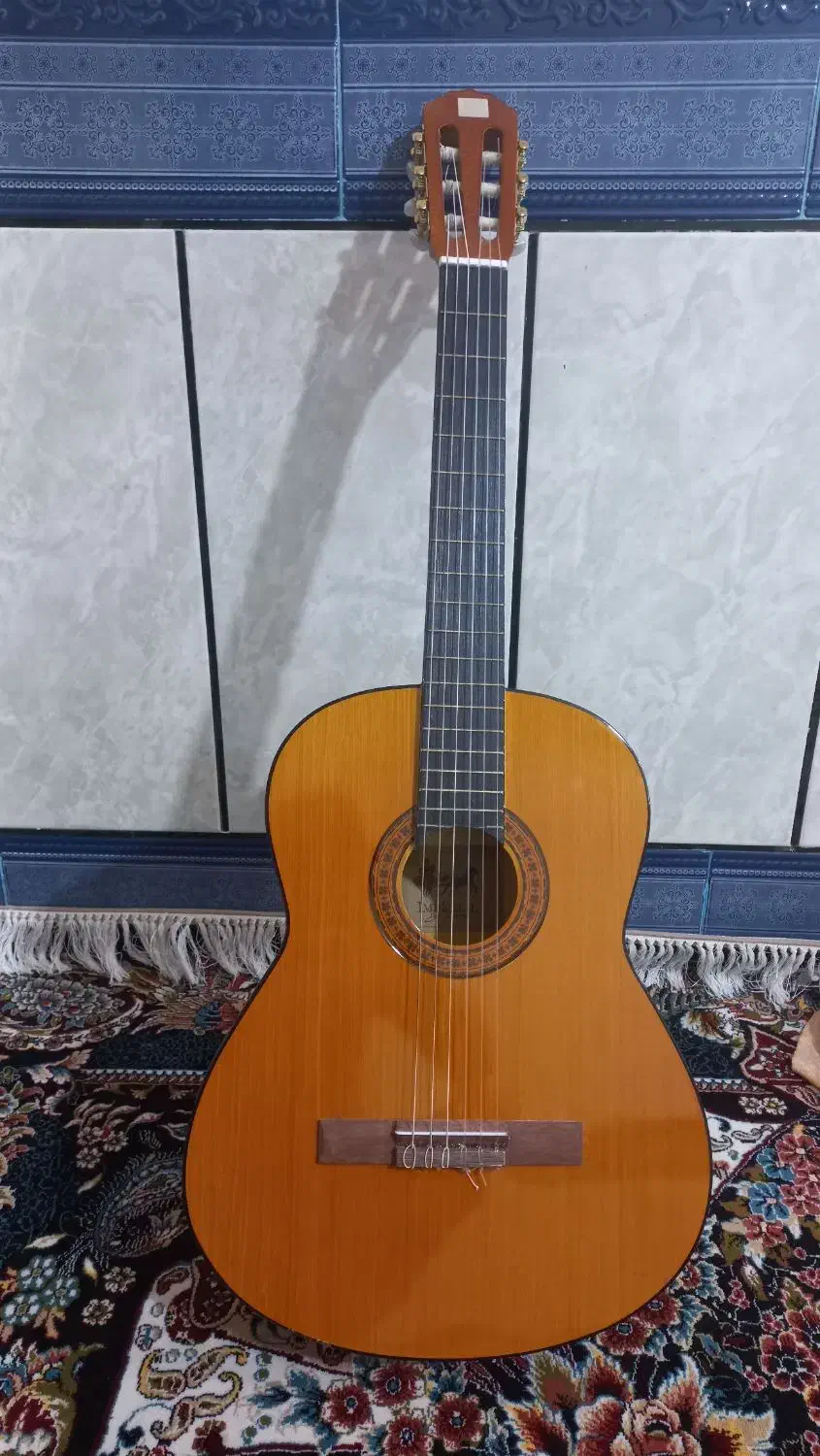 گیتار|گیتار، بیس، امپلیفایر|دهدشت, |دیوار