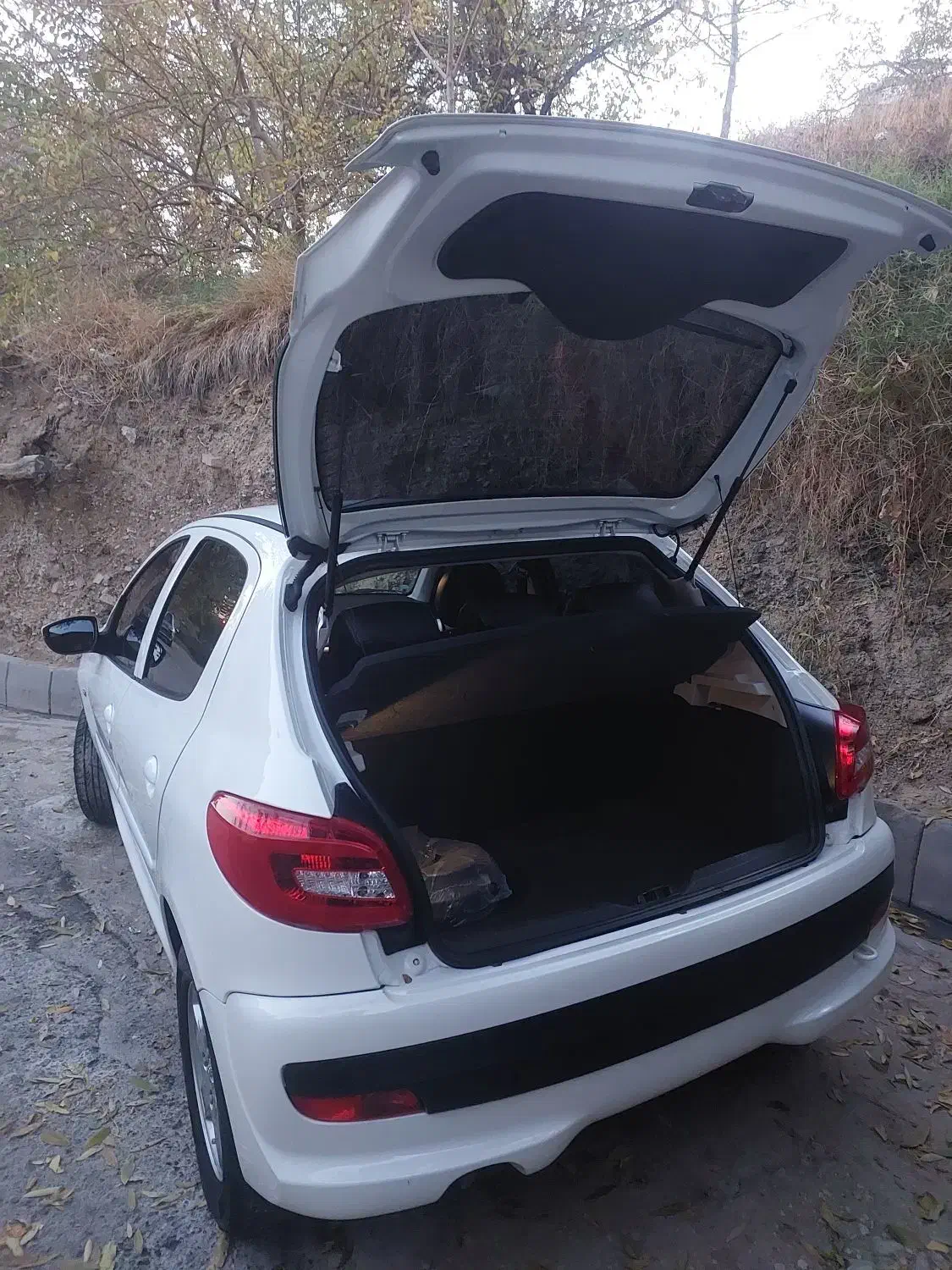 پژو ۲۰۷ اتو ارتقا یافته ۱۴۰۳|خودرو سواری و وانت|تهران, شهرک غرب|دیوار