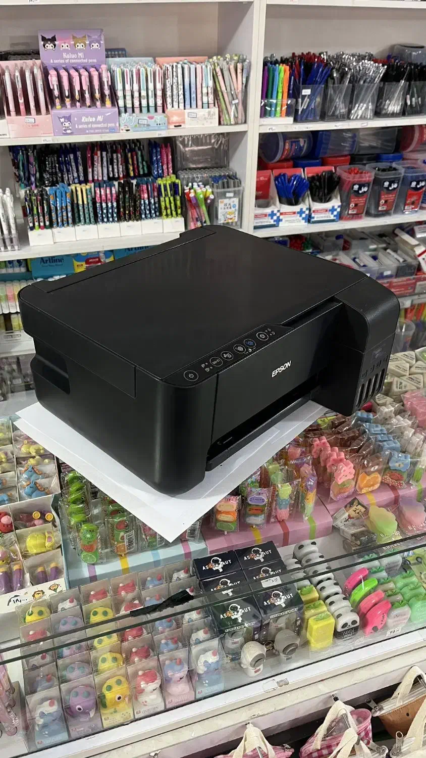 پرینتر ریکو سیاه سفید و پرینتر رنگی اپسون L350|پرینتر، اسکنر، کپی، فکس|کرج, خرمدشت|دیوار