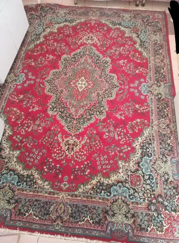 قالی ۹ متری|فرش|مرودشت, ثبت احوال|دیوار