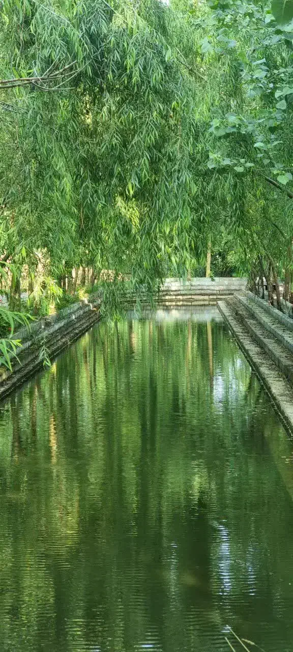 فروش ویلا ناب در دل الماس سبز|فروش خانه و ویلا|آبیک, |دیوار