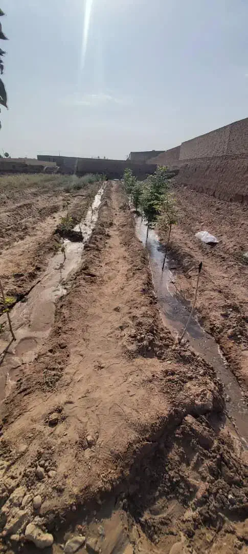 خانه باغ|فروش دفتر صنعتی، کشاورزی، تجاری|کاشان, شهرک صنعتی راوند|دیوار