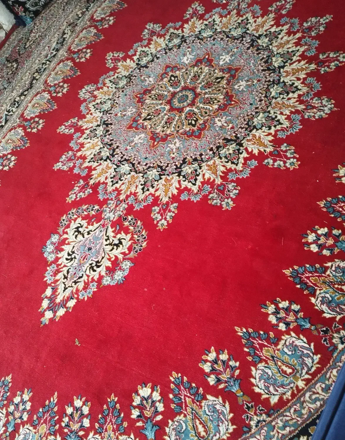 فرش دوازده متری|فرش|بندرعباس, |دیوار