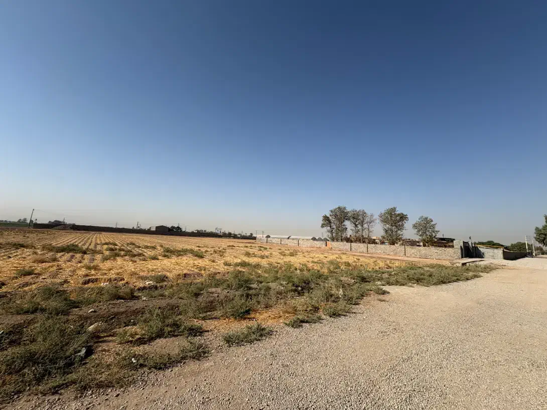 فروش زمین در پاکدشت|فروش دفتر صنعتی، کشاورزی، تجاری|پاکدشت, پاکدشت (مامازند)|دیوار