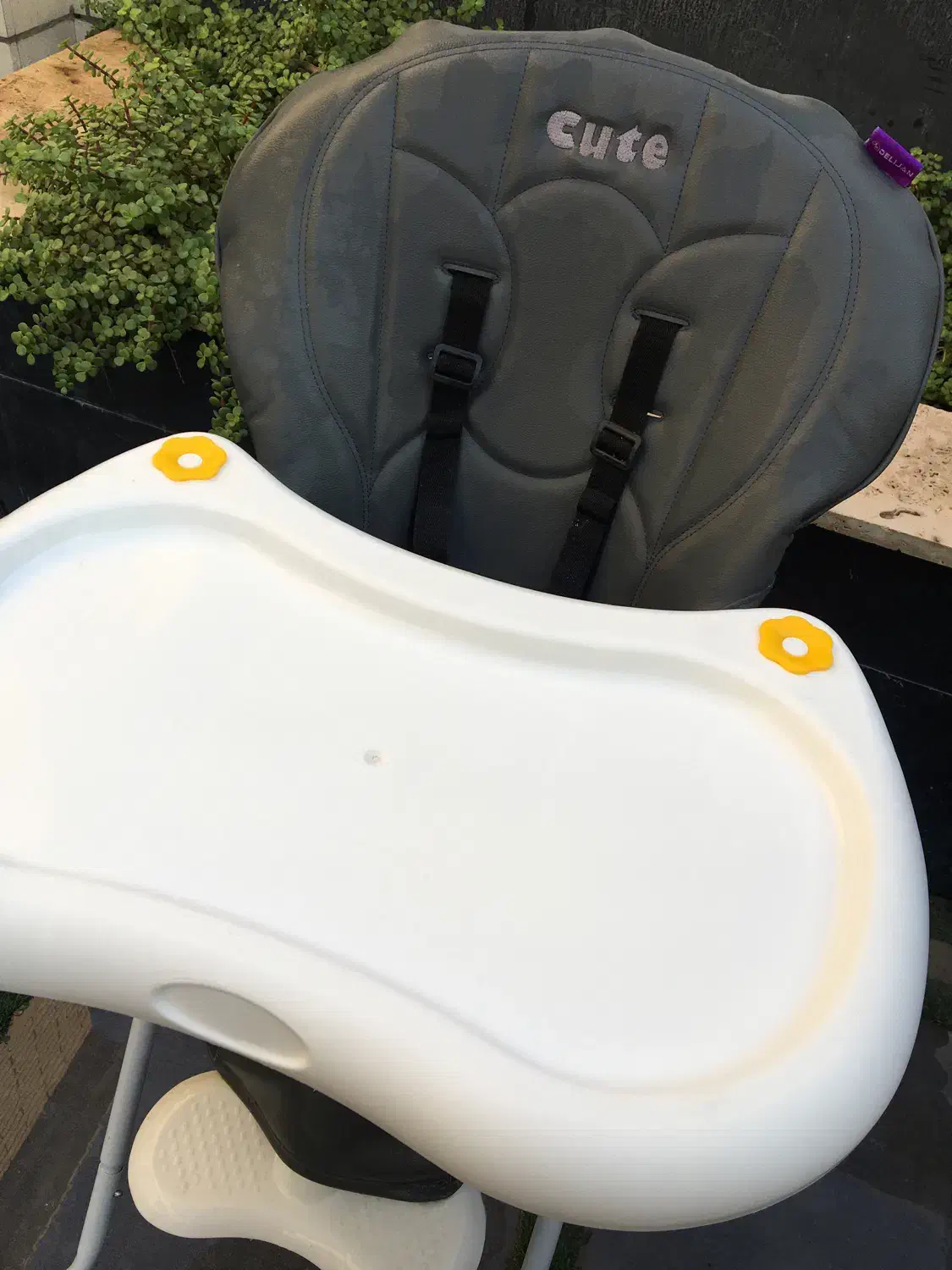 صندلی غذا کودک دلیجان کیوت پلاس در حد نو|تخت و صندلی بچه|کاشان, فین بزرگ|دیوار