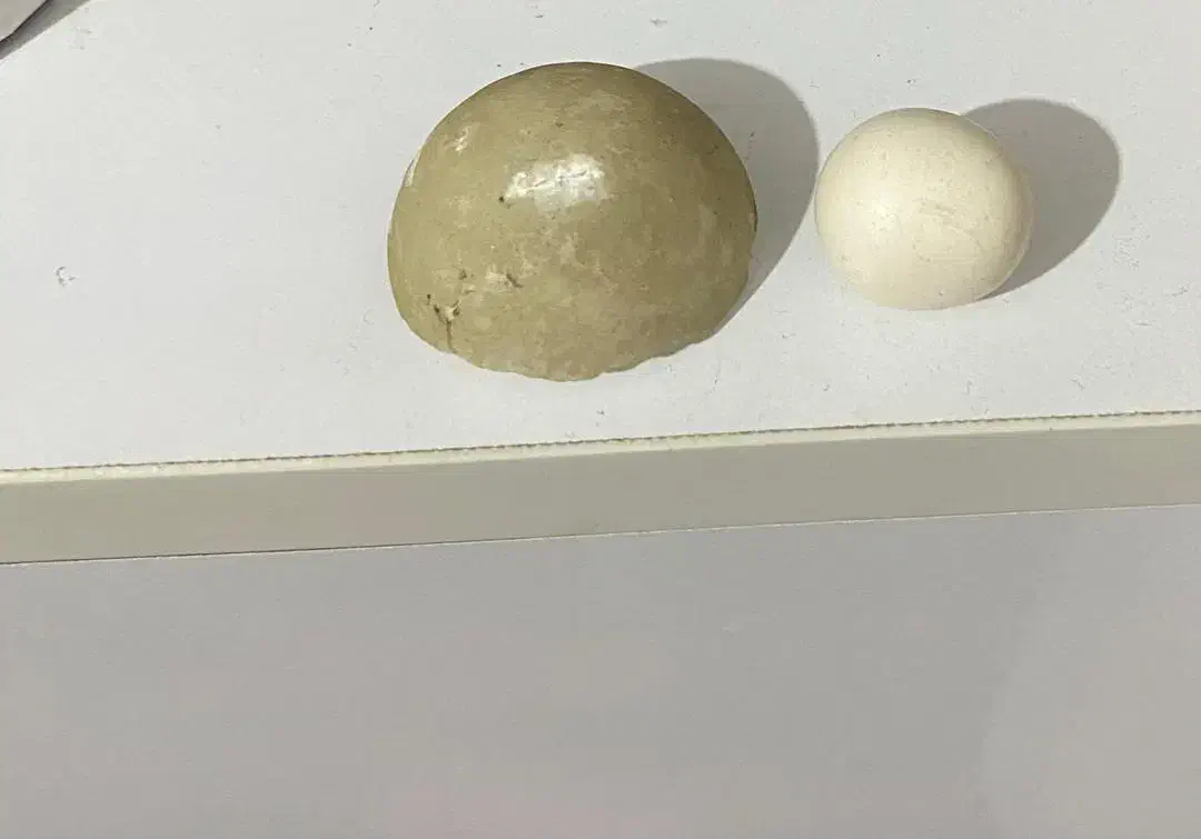 سنگ قیمتی|جواهرات|بندر دیر, |دیوار