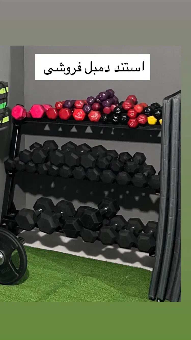 استند دمبل سنگین|تجهیزات ورزشی|بجنورد, |دیوار