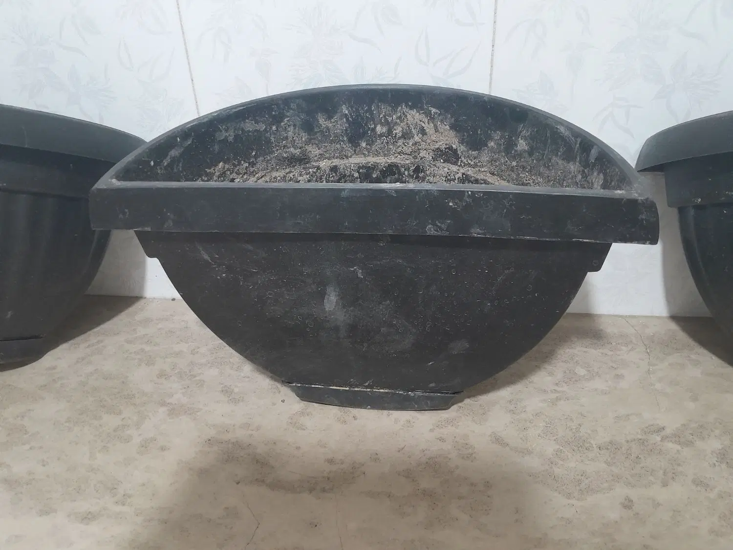 گلدان|گل و گیاه طبیعی|همدان, |دیوار