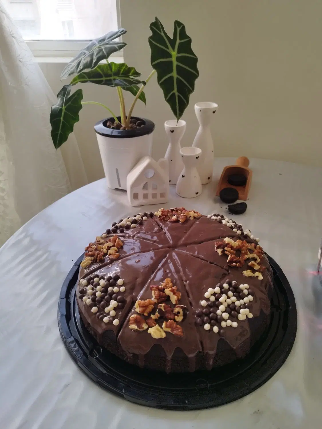 کیک خانگی|خدمات پذیرایی، مراسم|شیراز, سینما سعدی|دیوار