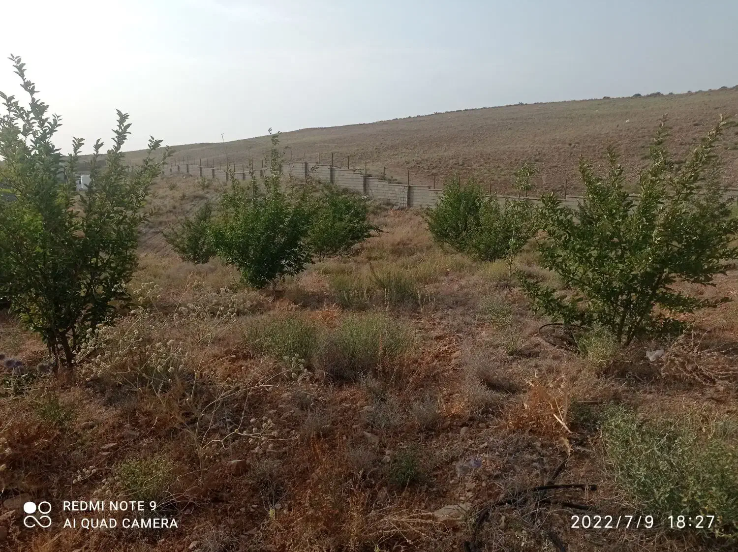 فروش باغشهری|فروش دفتر صنعتی، کشاورزی، تجاری|شیراز, کودیان|دیوار