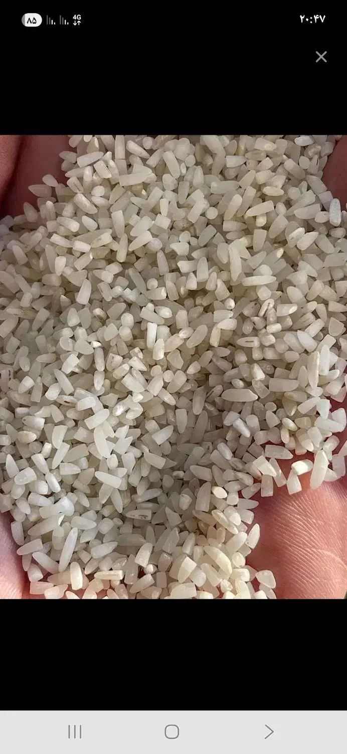 برنج نیمدانه کیلویی 155درجه یک معطر بدون اشغال|خوردنی و آشامیدنی|بروجرد, |دیوار