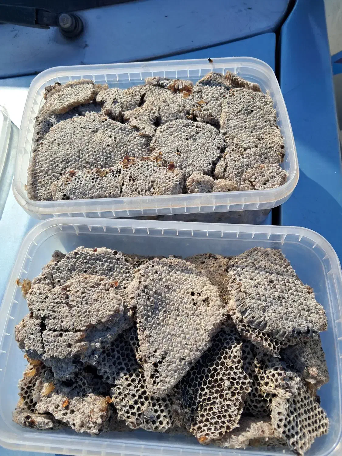 خرید وفروش عسل خشک|خوردنی و آشامیدنی|درب بهشت, |دیوار