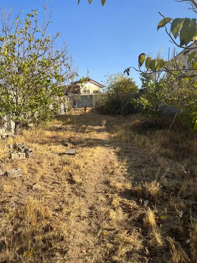 باغ زمین ۸۰۰متری در خیابان  زنبق وادان دماوند|فروش زمین و ملک کلنگی|دماوند, دماوند|دیوار