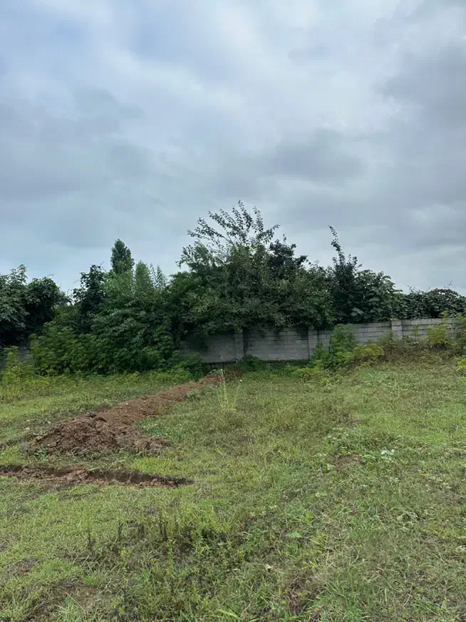 ۲۳۰متر زمین دارای مجوز ساخت|فروش زمین و ملک کلنگی|لیسار, |دیوار