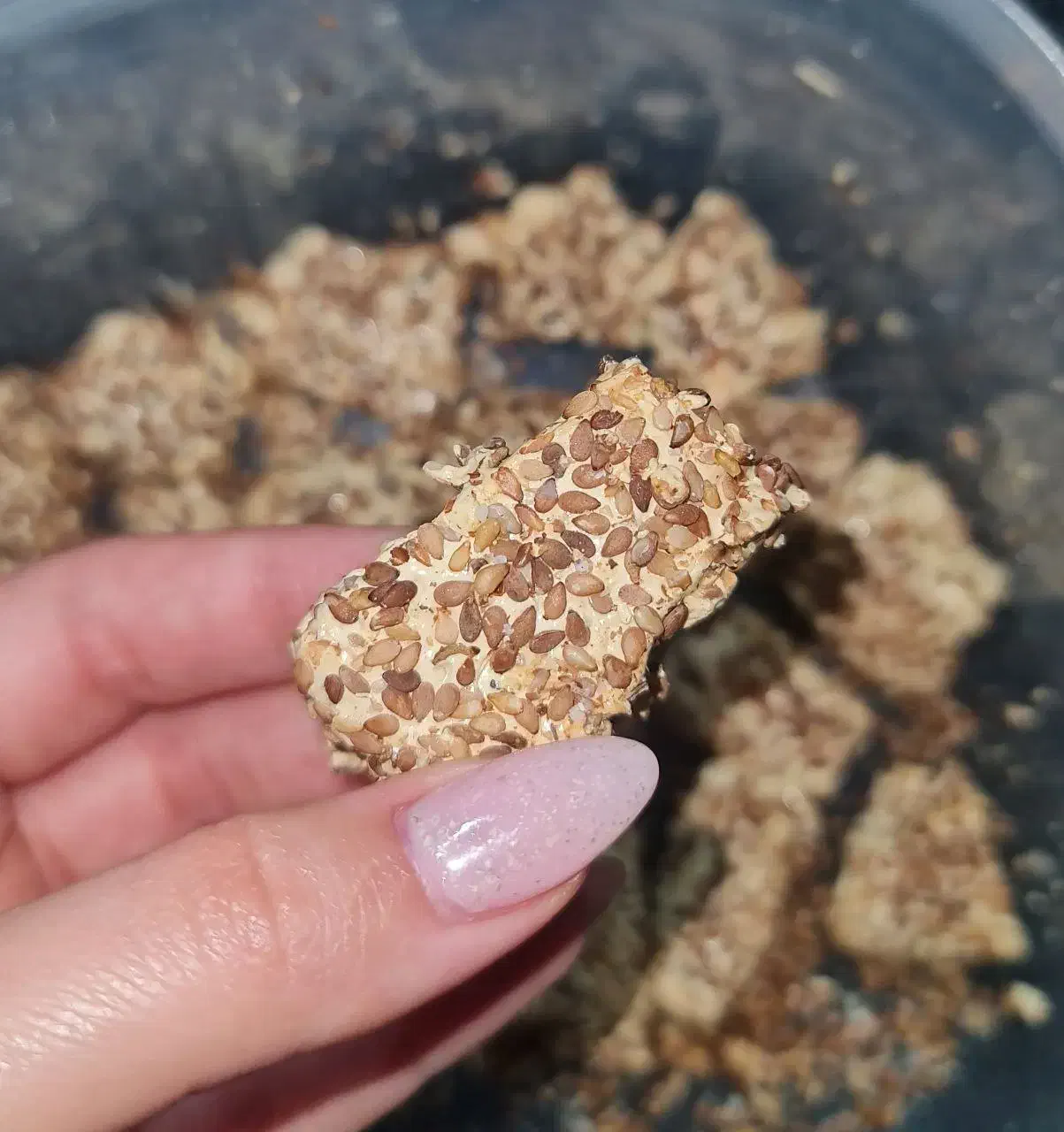 خوردنی|خوردنی و آشامیدنی|تهران, مسعودیه|دیوار