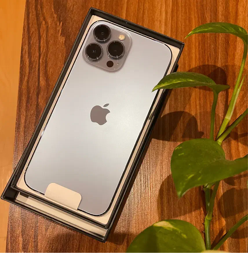 iphone 13 promax 512 zaa BAT 100%|موبایل|رشت, لاکانی|دیوار