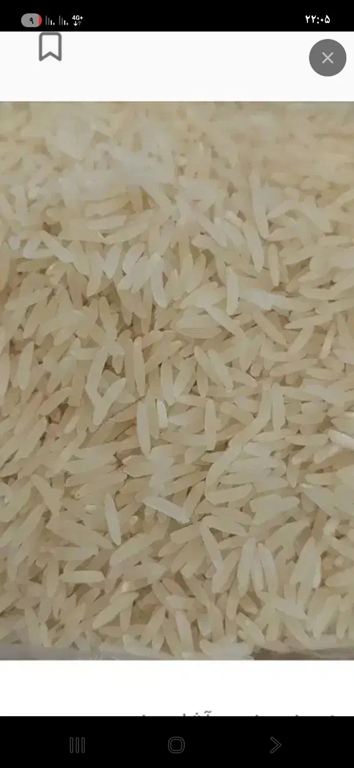 برنج|خوردنی و آشامیدنی|سرخنکلاته, |دیوار