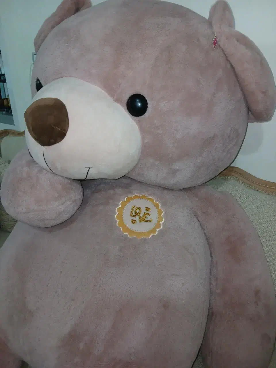 خرس سه متری|کلکسیون و سرگرمی|سبزوار, پاسداران|دیوار