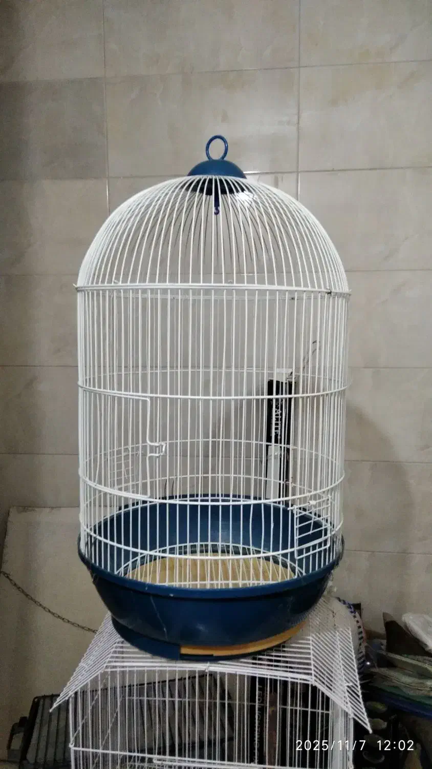 قفس پرنده|لوازم جانبی حیوانات|اصفهان, ملک‌شهر|دیوار