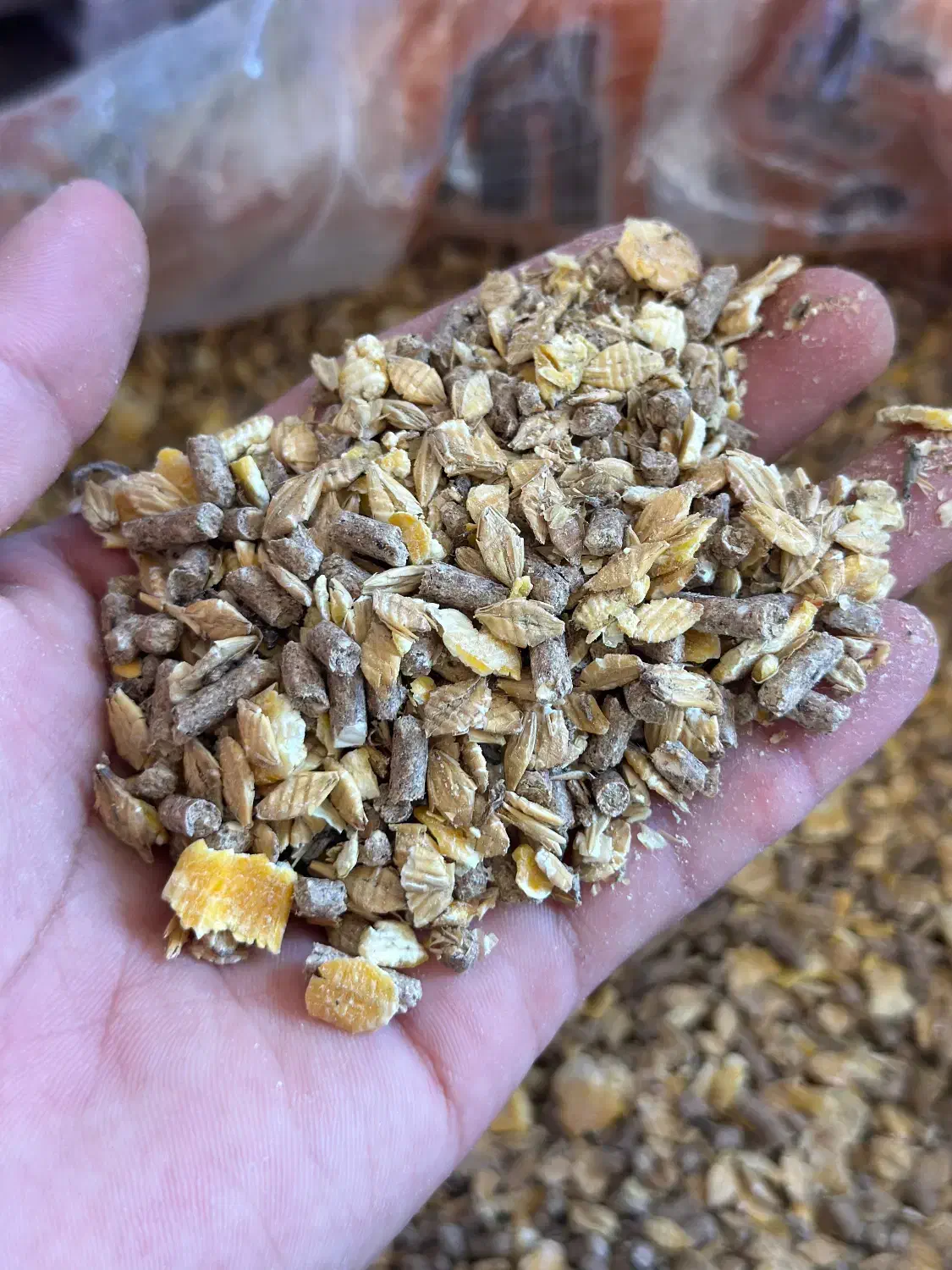 خوراک دام اجیلی درجه یک مستقیم از تولیدی|عمده‌فروشی|مراوه, |دیوار