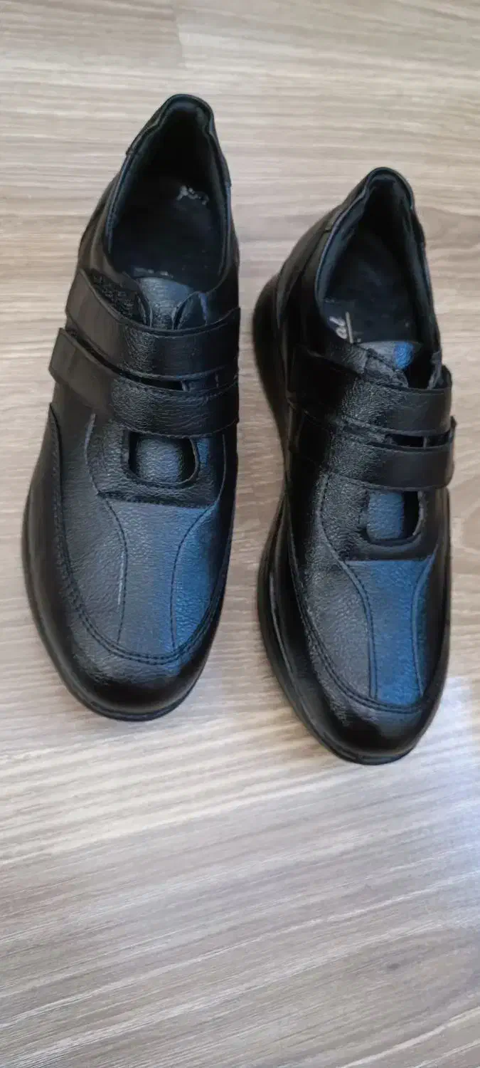 کفش زنانه،دخترانه|کیف، کفش، کمربند|تبریز, |دیوار