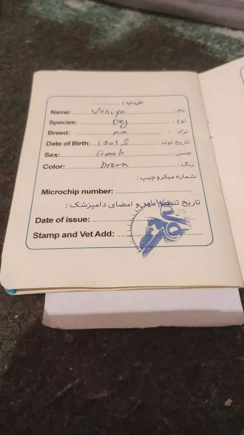 واگذاری سگ نگهبان|سگ|فشم, |دیوار