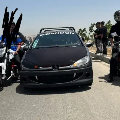 سپر wrc تایگر فدرالی و بال عقب 206|قطعات یدکی و لوازم جانبی|فردیس, منظریه|دیوار