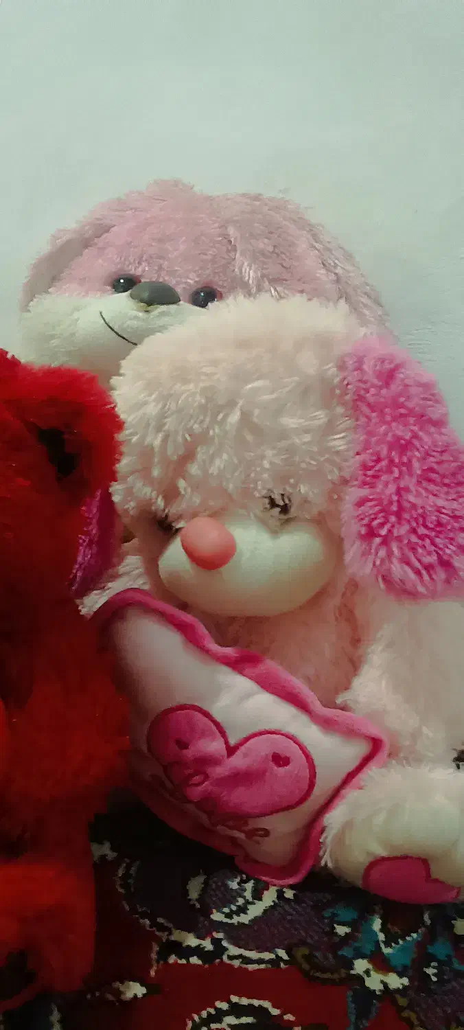 کیف مدارس و عروسک و گیتار|گیتار، بیس، امپلیفایر|بندر انزلی, جفرود پایین|دیوار