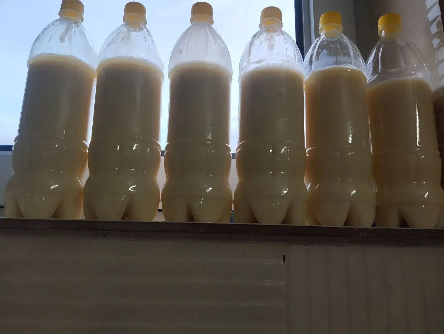 ظرف روغن|ظروف نگهدارنده، پلاستیکی، یک‌بارمصرف|مشهد, کوشش|دیوار