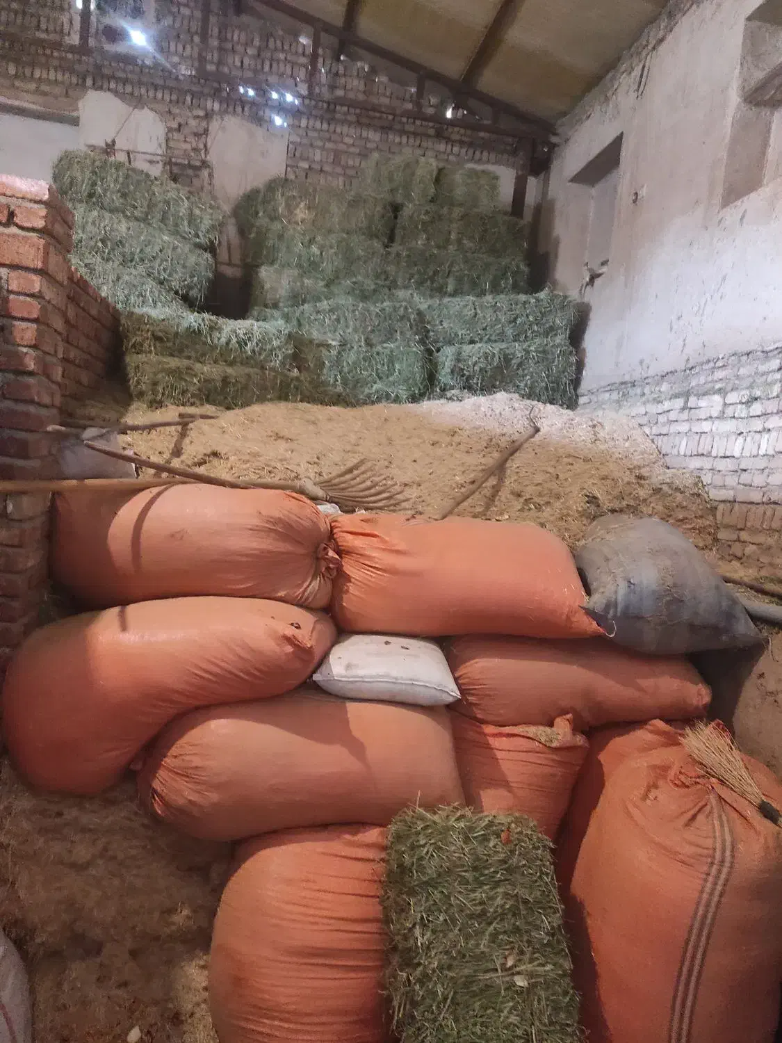 یونجه و کود شیمیایی|حیوانات مزرعه|صالح آباد, |دیوار