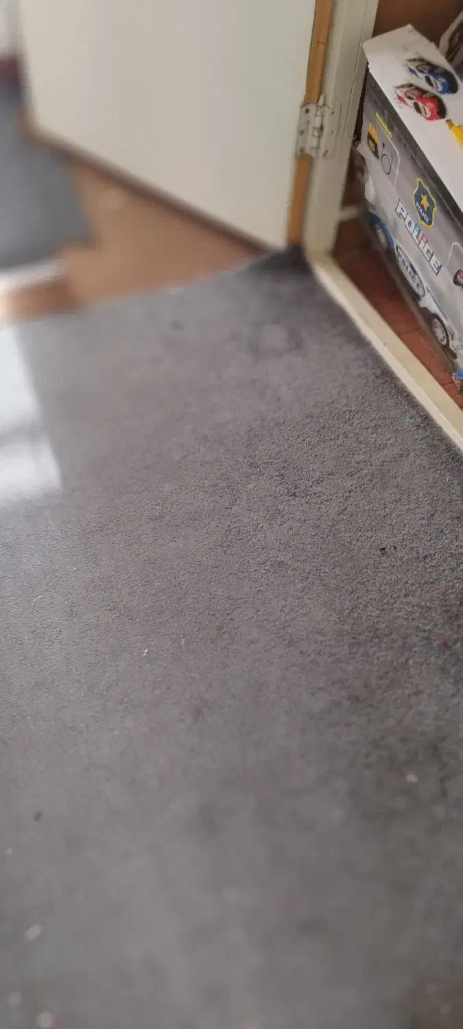 موکت پالاز سالم و تمیز کارکرده در حد نو|موکت|رباط‌کریم, رباط‌کریم|دیوار