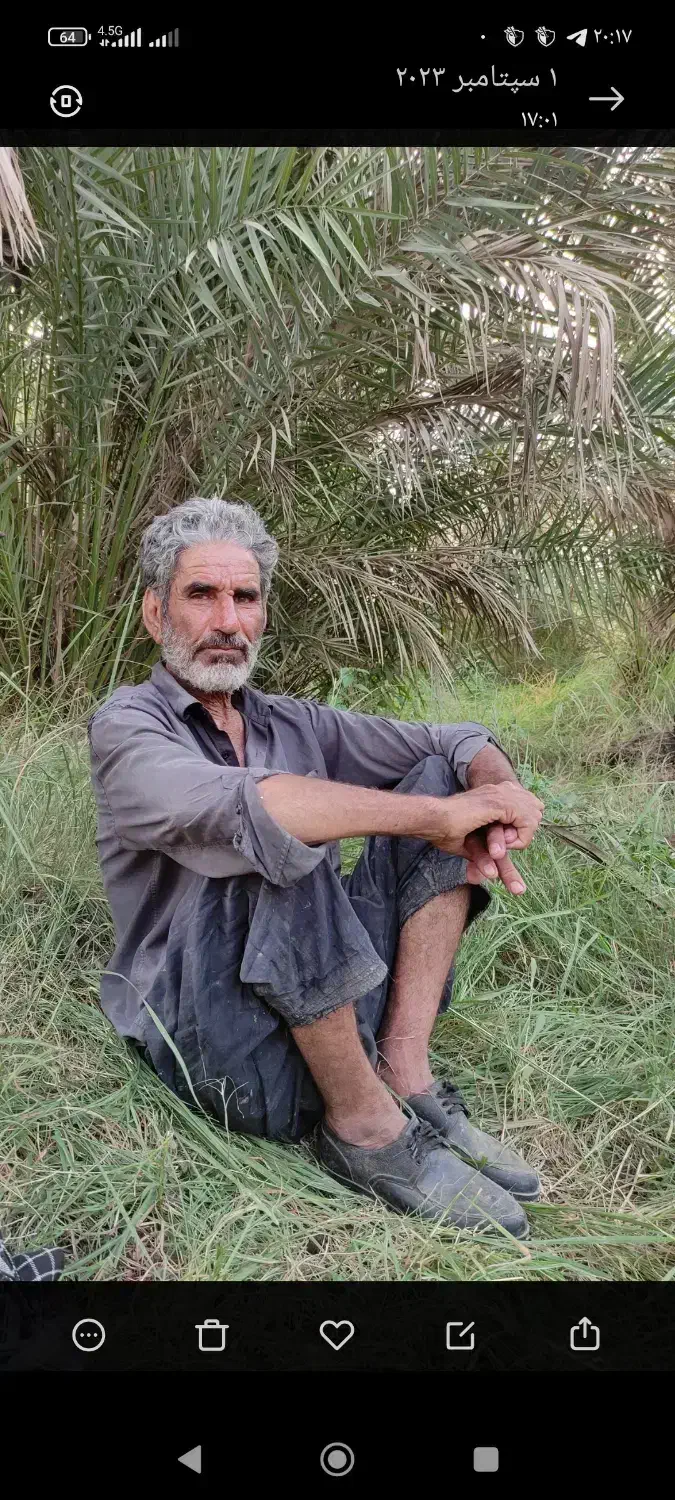 گمشده|اشیا|جیرفت, |دیوار