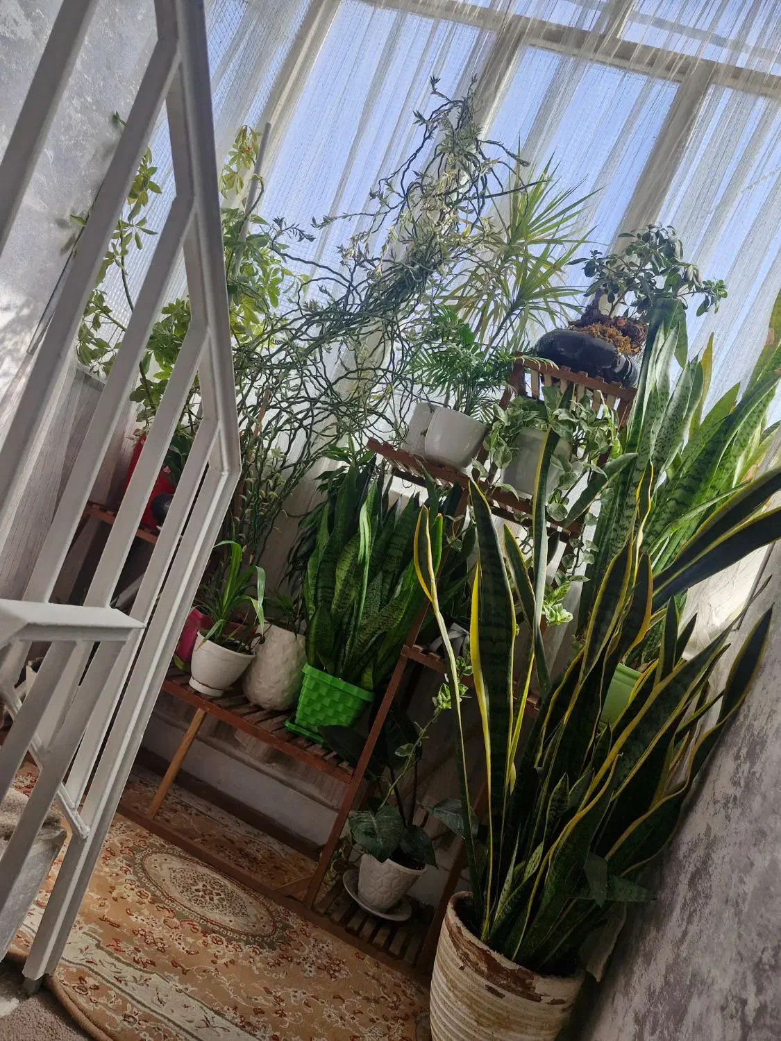 خانه ویلایی ۵۵ متری  سند شیش دانگ|فروش خانه و ویلا|مشهد, شهید مطهری|دیوار