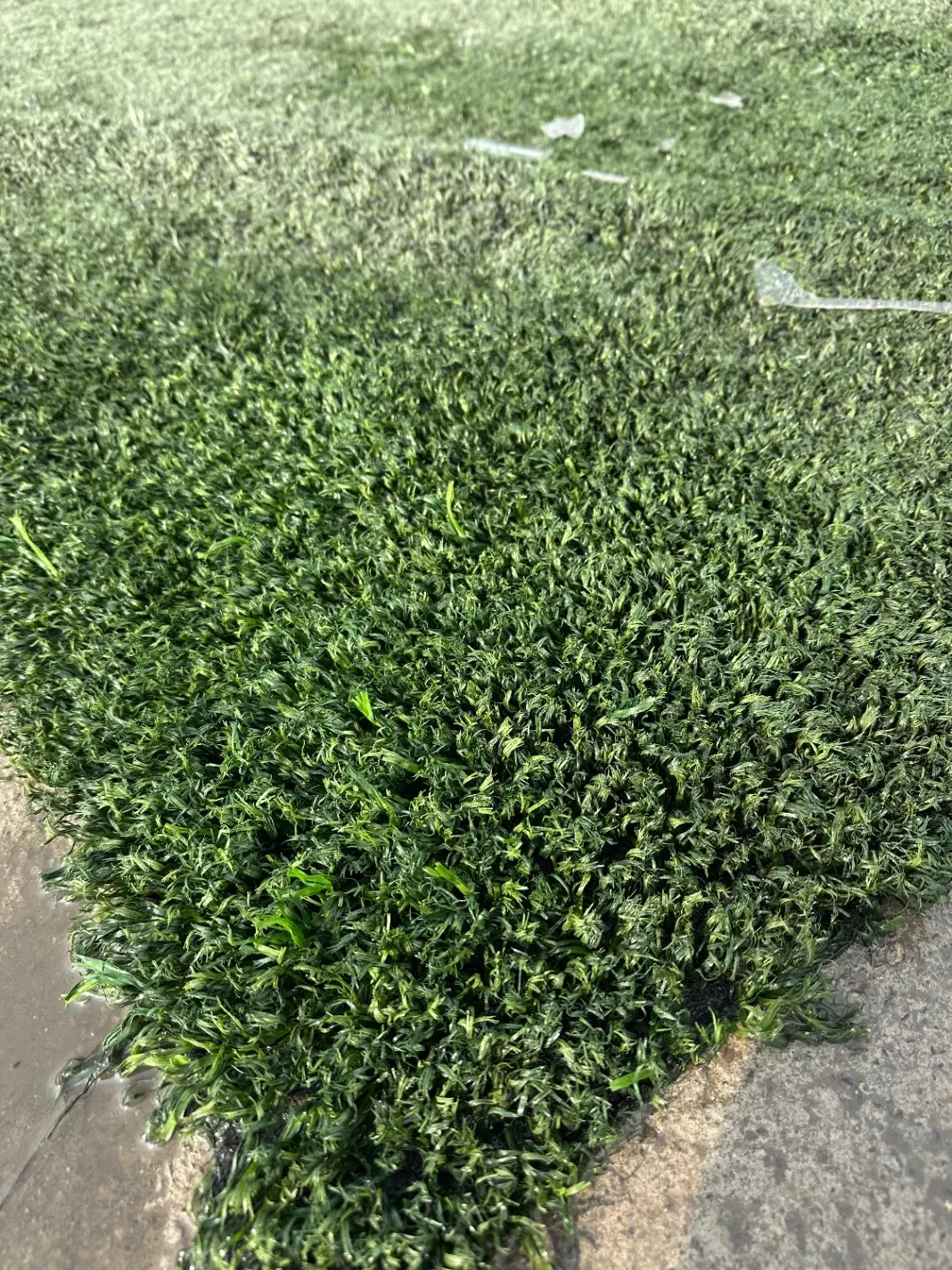 پخش چمن مصنوعی و فنس برگ ریحون ( کارکرده و نو )|مصالح و تجهیزات ساختمان|تهران, جوانمردان (اندیشه)|دیوار